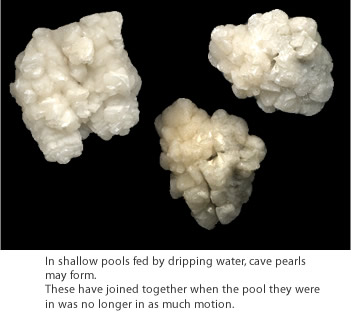 In shallow pools fed by dripping water, cave pearls may form.These have joined together when the pool they were in was no longer in as much motion.