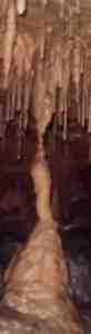 column