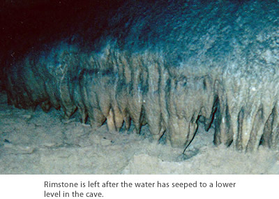 Deposits called shelfstone form where the surface of the water touches the sides of the cavern or submerged columns.