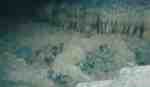 rimstone
