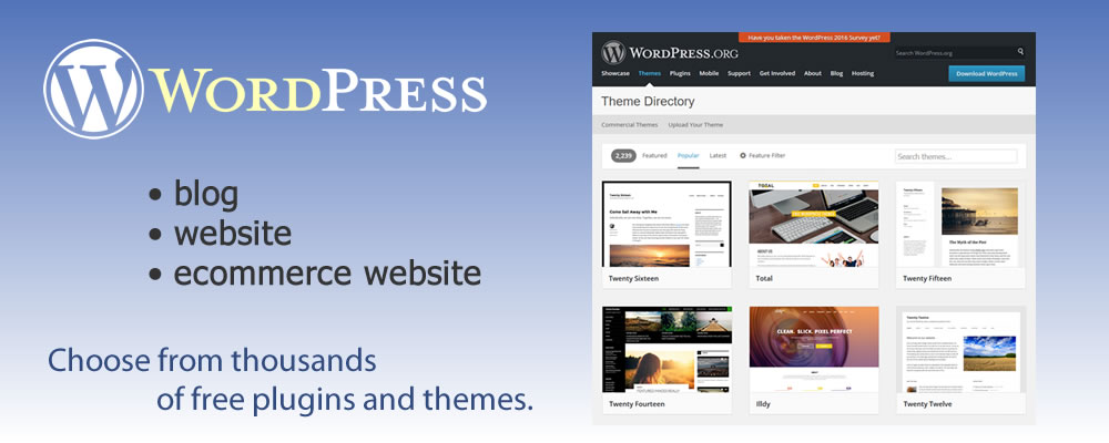 WordPress - blog, website or robust ecommerce store - Choose from thousands of free plugins and themes - design42 New Media Web Design - Complete Solutions, On time. On budget. 828-692-7270