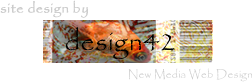 design42 New Media Web Design - (828) 692-7270