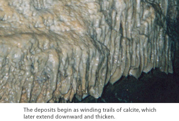The deposits begin as winding trails of calcite, which later extend downward and thicken.