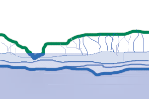 In it's early development, water carves a new cave on it's way to the water table.