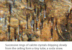 Successive rings of calcite crystals dripping slowly from the ceiling form a tiny tube, a soda straw.