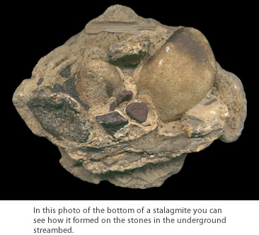 In this photo of the bottom of a stalagmite you can see how it formed on the stones in the underground streambed.