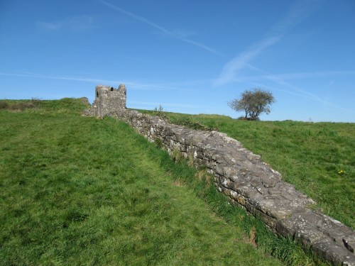 The Walls of Trim