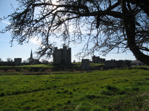 Trim Castle