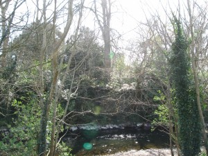 Leixlip Castle