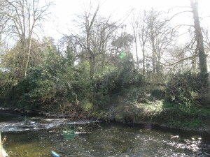 Leixlip Castle