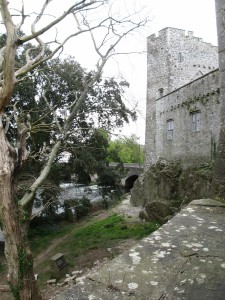 Cahir Castle