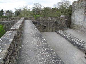 Cahir Castle