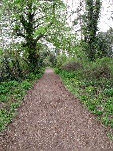 Path to Swiss Cottage, Cahir, Ireland