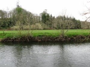 River Suir