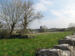 I left the Cliffs of Moher, wandered through the Burren and found my way to Galway Bay. I found Dunguaire Castle as I drove along the shore.